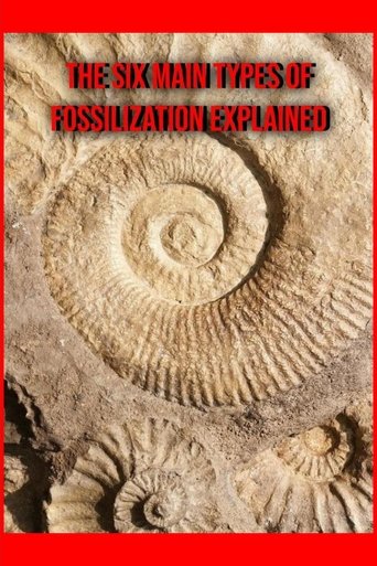 Poster of The Six Main Types of Fossilization Explained