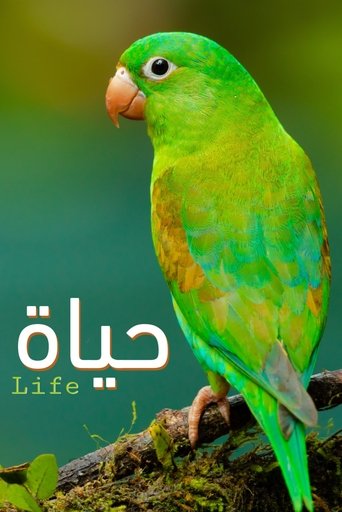 Poster of Life