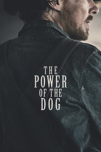 Poster of The Power of the Dog