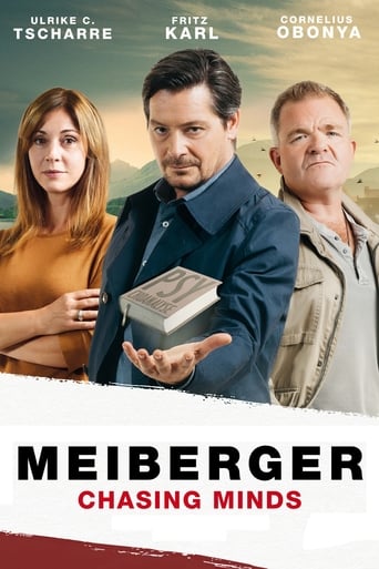 Poster of Meiberger: Chasing Minds