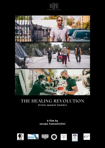 Poster of The Healing Revolution