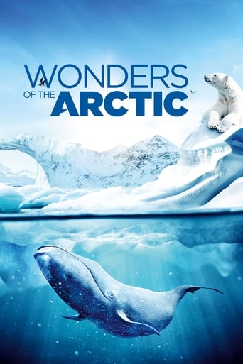 Poster of Wonders of the Arctic