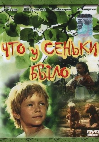 Poster of What Senka Said