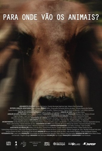 Poster of Para Onde Vão Os Animais