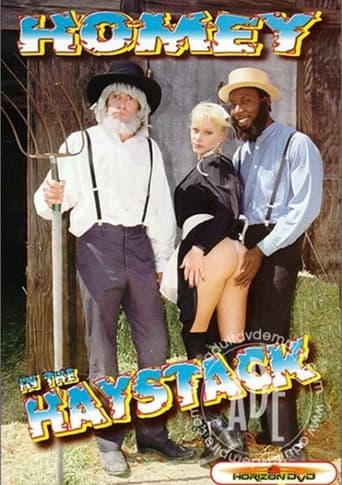 Poster of Homey In The Haystack