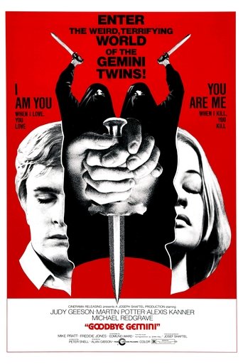 Poster of Goodbye Gemini