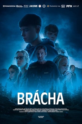 Poster of Brácha