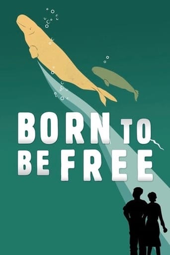 Poster of Born to Be Free