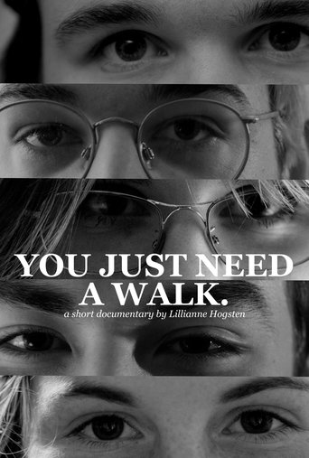 Poster of You Just Need a Walk.