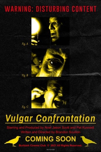 Poster of Vulgar Confrontation