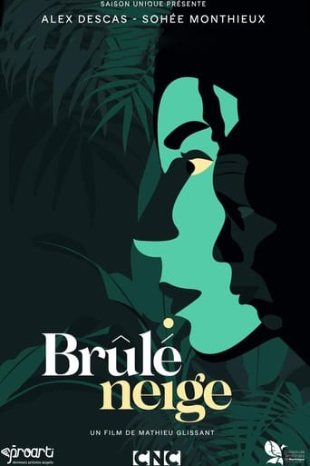 Poster of Brûlé neige