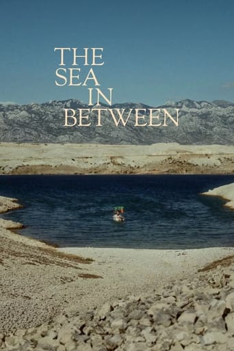 Poster of The Sea in Between