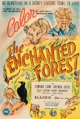 Poster of The Enchanted Forest