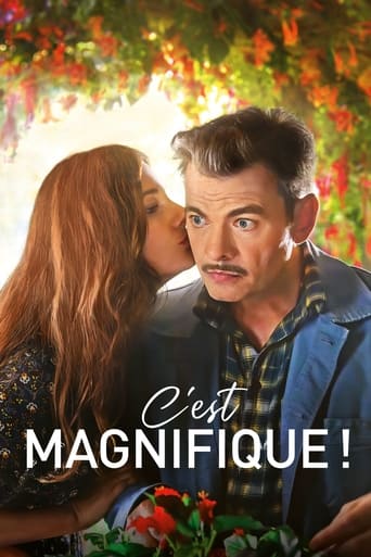 Poster of C'est magnifique !