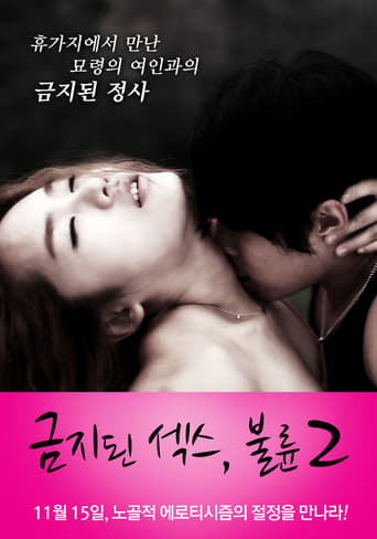 Poster of Forbidden Sex: Affair 2