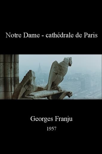 Poster of Notre Dame, cathédrale de Paris