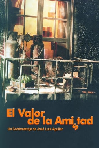 Poster of El valor de la amistad