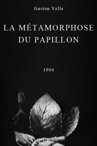 Poster of Metamorphosis of a Butterfly