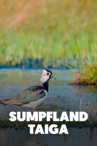 Poster of Sumpfland Taiga - Das Berezinsky-Biosphärenreservat