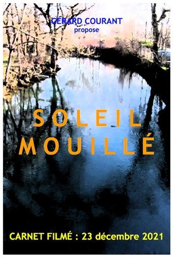 Poster of Soleil mouillé