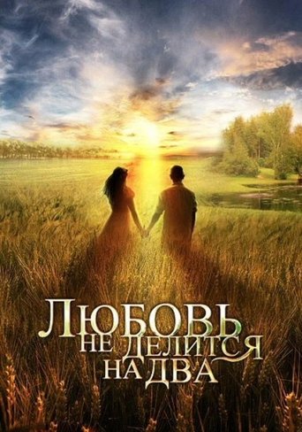Poster of Love Can’t Be Divided