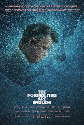 Poster of The Possibilities Are Endless