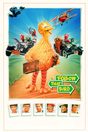 Poster of Follow That Bird