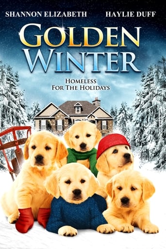 Poster of Golden Winter