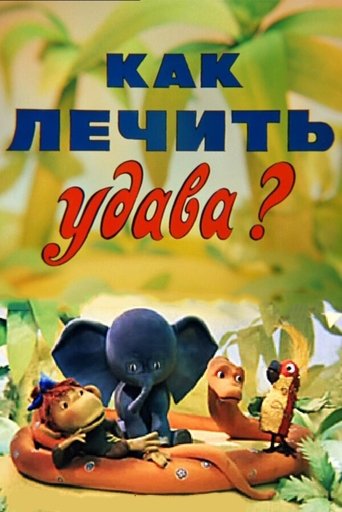 Poster of How to cure Boa?