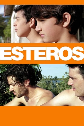 Poster of Esteros