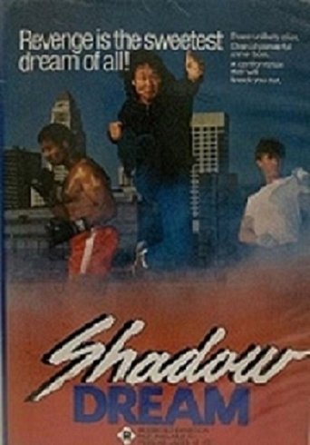 Poster of Shadow Dream