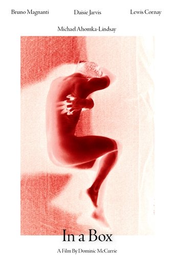 Poster of In A Box