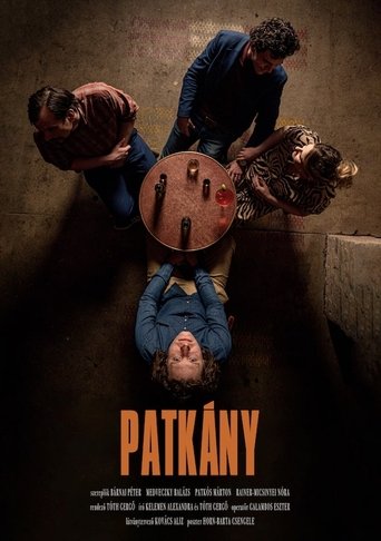 Poster of Patkány