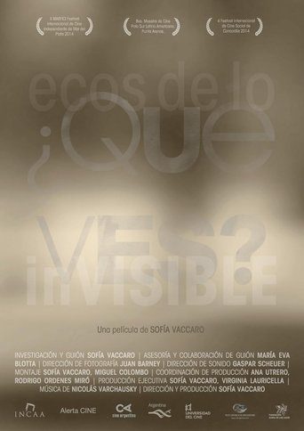 Poster of ¿Qué ves? Ecos de lo invisible