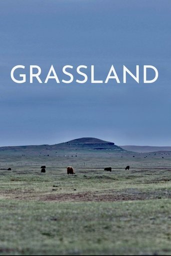 Poster of Grassland