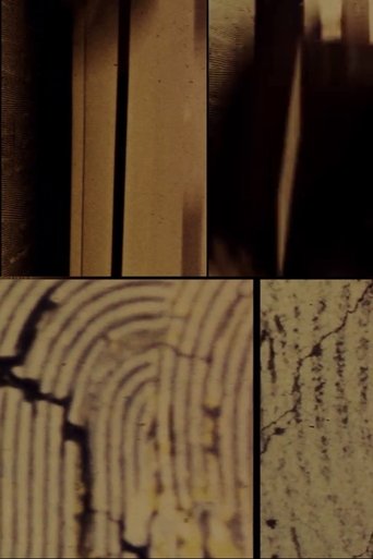 Poster of The Flight of 51_PEGASI_B?