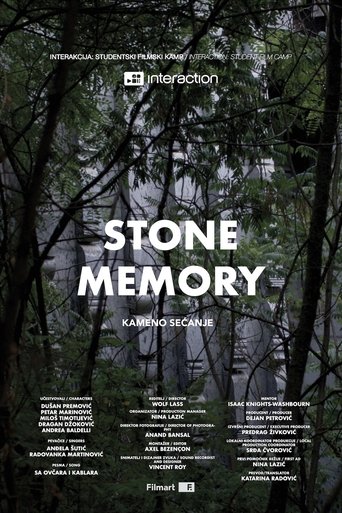 Poster of Stone Memory