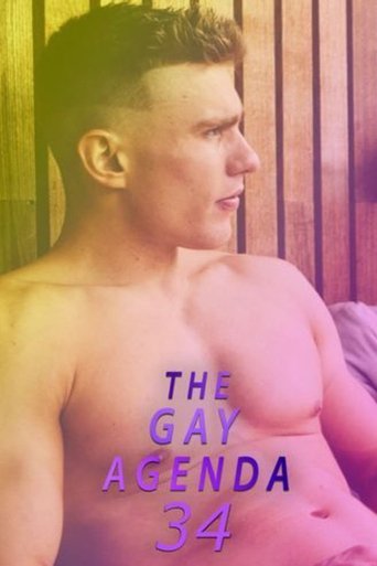 Poster of The Gay Agenda 34