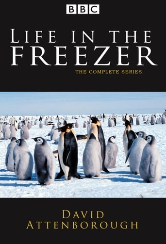 Poster of Life in the Freezer