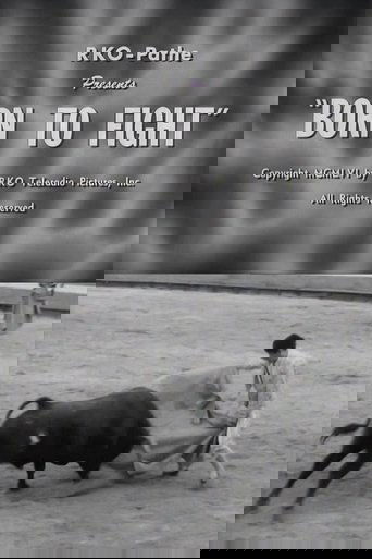 Poster of Born to Fight