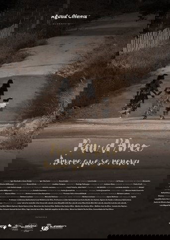 Poster of Pau D’arco: Árvore que Se Renova