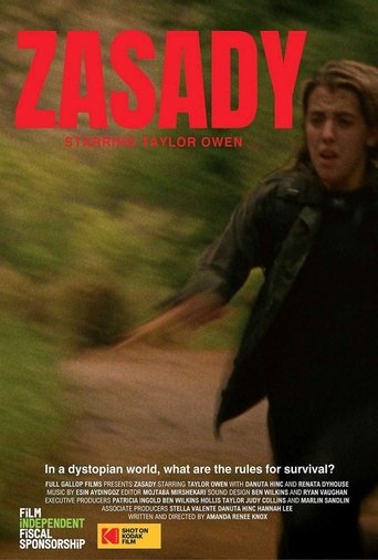 Poster of Zasady