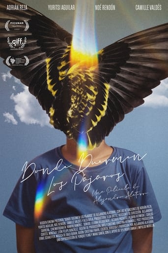 Poster of Where Birds Dream