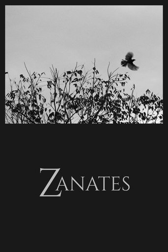 Zanates Poster of Zanates
