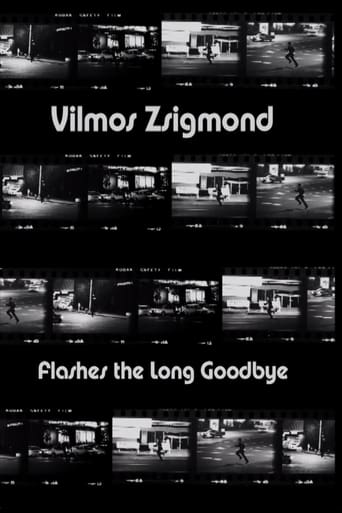 Poster of Vilmos Zsigmond Flashes 'The Long Goodbye'