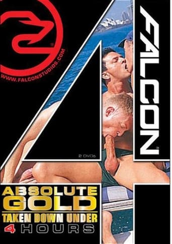 Poster of Absolute Gold: Taken Down Under: Falcon Four Hours