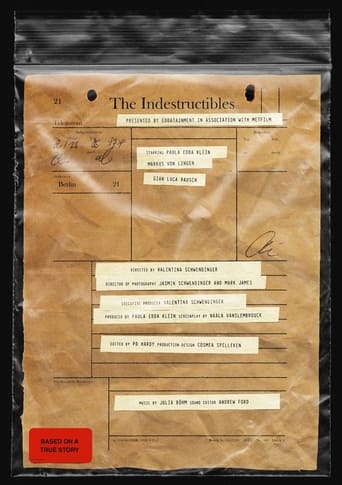 Poster of The Indestructibles