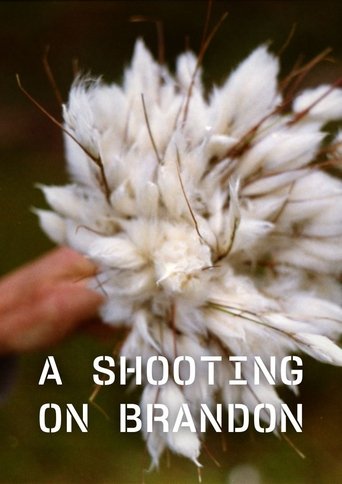 Poster of A Shooting on Brandon