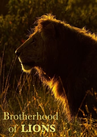 Poster of Brotherhood of Lions