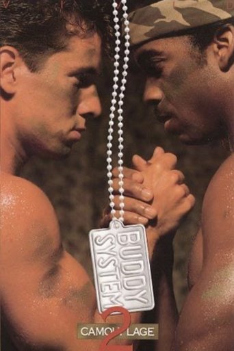 Poster of Buddy System 2: Camouflage